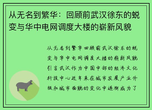 从无名到繁华：回顾前武汉徐东的蜕变与华中电网调度大楼的崭新风貌